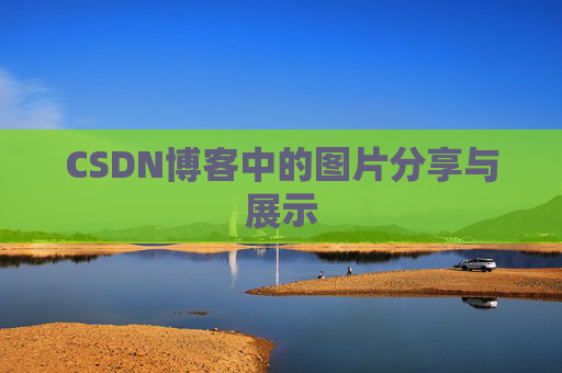 CSDN博客中的图片分享与展示